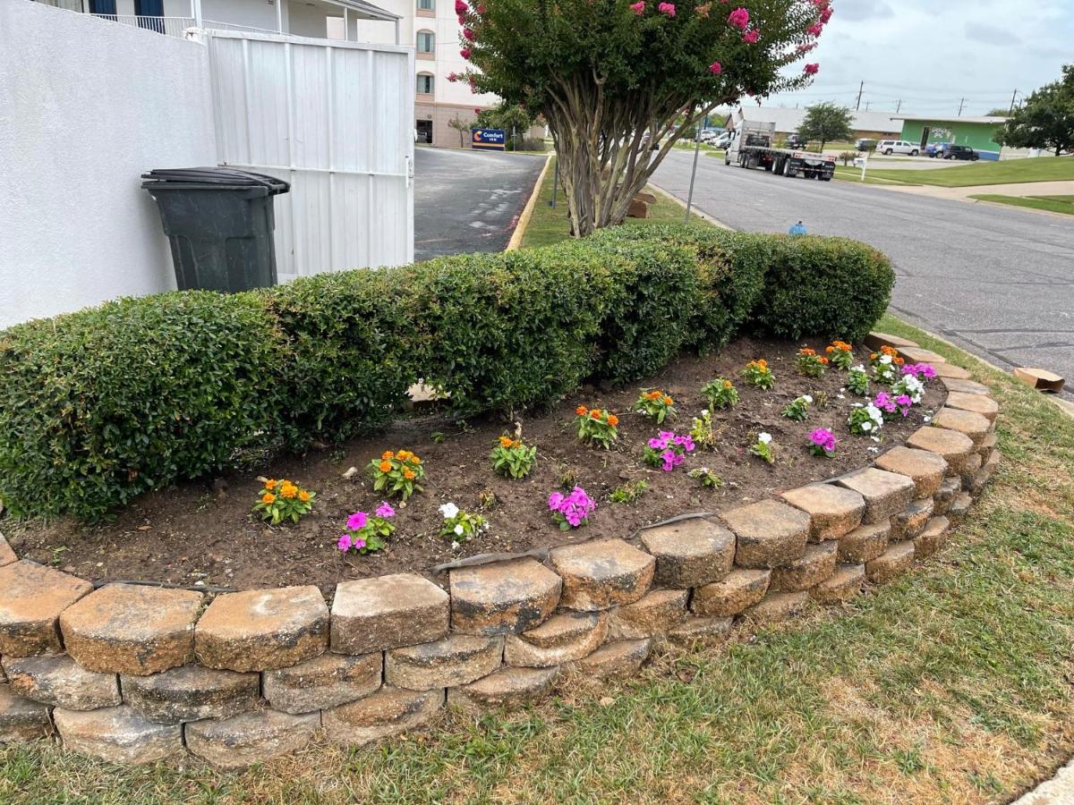 Motel 6 Denton, Tx - Unt Εξωτερικό φωτογραφία